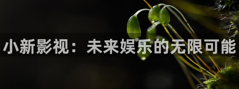 金牌 影院：小新影视：未来娱乐的无限可能