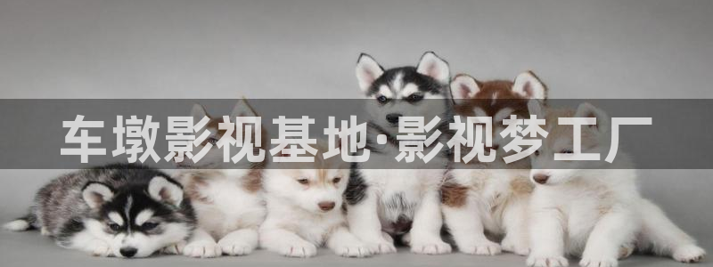 金牌电影在线观看免费完整版高清：车墩影视基地·影视梦工厂