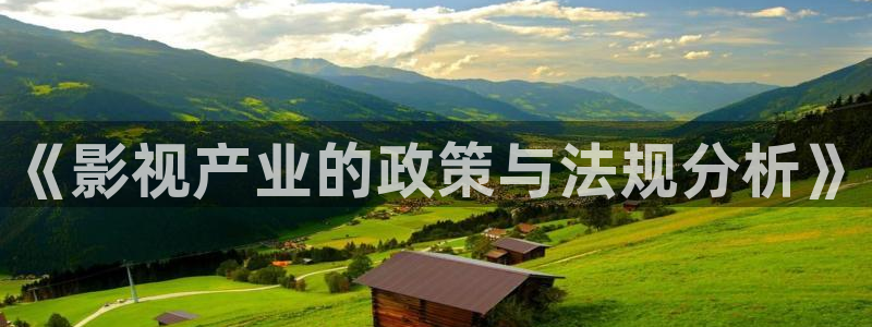 金牌影院怎么下载电影：《影视产业的政策与法规分析》