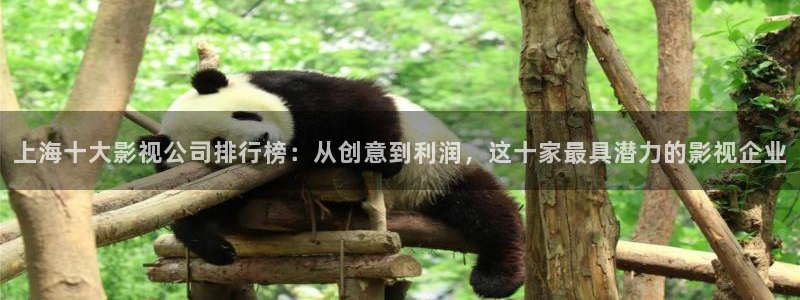 金牌影院电视剧免费播放：上海十大影视公司排行榜：从创意到利润，这十家最具潜力的影视企业