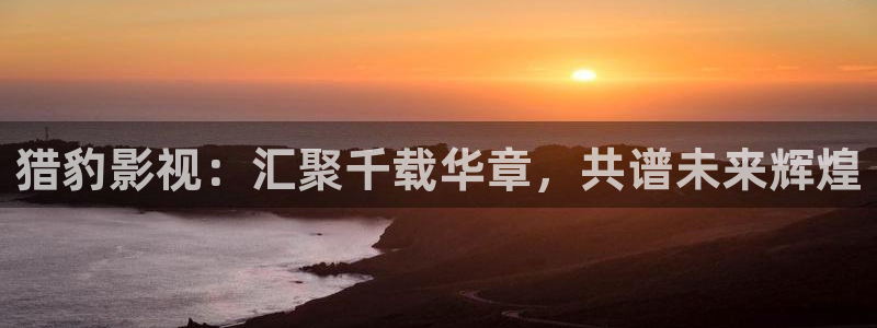 金牌影院官网入口电影在线观看：猎豹影视：汇聚千载华章，共谱未来辉煌