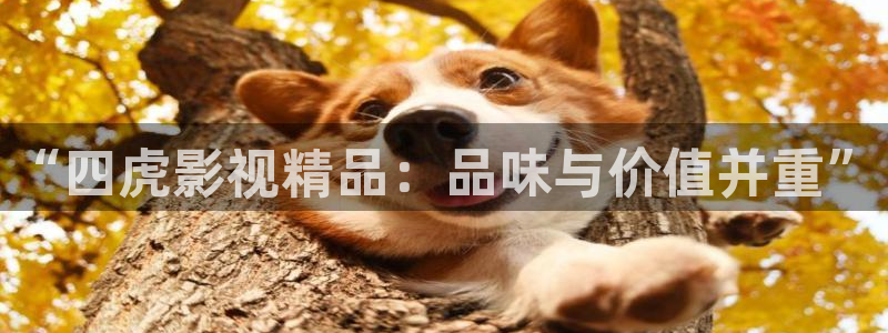 金牌影音：“四虎影视精品：品味与价值并重”