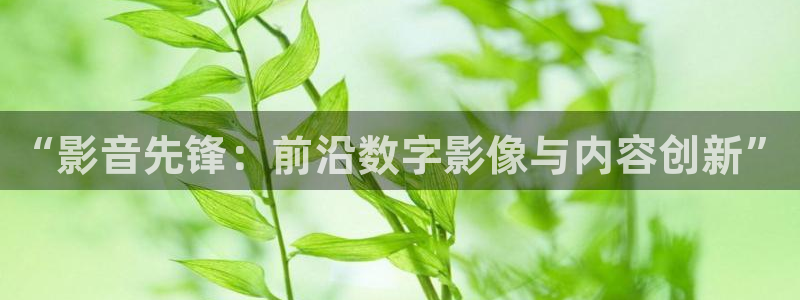 金牌影院2024全集免费观看：“影音先锋：前沿数字影像与内容创新”