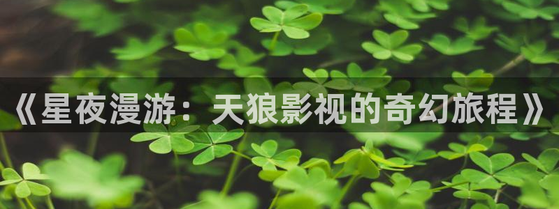 金牌电视：《星夜漫游：天狼影视的奇幻旅程》